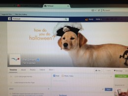 Pets FB