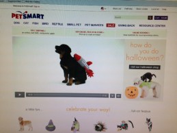 PetsWeb