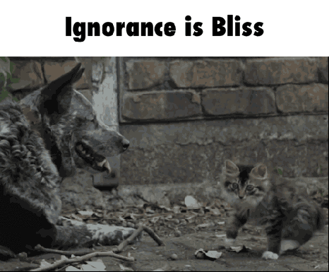 ignorance